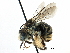  ( - 06709H03-BC)  @15 [ ] CreativeCommons - Attribution (2016) CBG Photography Group Centre for Biodiversity Genomics