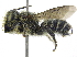  ( - 06745C10-ON)  @11 [ ] CreativeCommons - Attribution (2016) CBG Photography Group Centre for Biodiversity Genomics