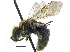  ( - 06745D01-ON)  @15 [ ] CreativeCommons - Attribution (2016) CBG Photography Group Centre for Biodiversity Genomics
