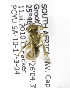  ( - 04483G07-ZAF)  @13 [ ] CreativeCommons - Attribution Non-Commercial Share-Alike (2010) Unspecified York University