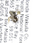  (Lasioglossum alachuense - 04791B03-FL)  @12 [ ] CreativeCommons - Attribution Non-Commercial Share-Alike (2010) Unspecified York University
