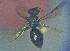  ( - CCDB-34571 A03)  @11 [ ] CreativeCommons - Attribution by Laurence Packer (2020) Laurence Packer York University