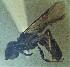  ( - CCDB-34571 A05)  @11 [ ] CreativeCommons - Attribution by Laurence Packer (2020) Laurence Packer York University