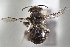  ( - CCDB-34572 A09)  @11 [ ] CreativeCommons - Attribution by Laurence Packer (2017) Laurence Packer York University