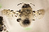  ( - CCDB-24581 A12)  @11 [ ] CreativeCommons - Attribution (2016) Laurence Packer York University