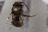  ( - CCDB-33206 C04)  @11 [ ] CreativeCommons - Attribution (2018) Laurence Packer York University