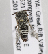  (Coelioxys KENLP5 - CCDB-15266 D02)  @11 [ ] CreativeCommons - Attribution Non-Commercial Share-Alike (2012) Packer Collection York University York University