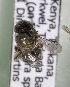 (Trinomia KEN04 - CCDB-15275 E10)  @12 [ ] CreativeCommons - Attribution Non-Commercial Share-Alike (2012) Packer Collection York University York University