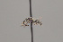  (Chilicola vicugna - CCDB-19989 A08)  @14 [ ] Unspecified (default): All Rights Reserved (2014) Packer Collection York University York University