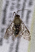  ( - CCDB-34571 E02)  @11 [ ] CreativeCommons - Attribution by Laurence Packer (2020) Laurence Packer York University