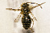  ( - CCDB-34684 F02)  @11 [ ] CreativeCommons - Attribution by Laurence Packer (2017) Laurence Packer York University