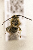  ( - CCDB-34684 F04)  @11 [ ] CreativeCommons - Attribution by Laurence Packer (2017) Laurence Packer York University