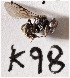  ( - CCDB-24581 G05)  @13 [ ] CreativeCommons - Attribution (2016) Laurence Packer York University