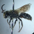  ( - CCDB-34569 H03)  @11 [ ] CreativeCommons - Attribution by Laurence Packer (2017) Laurence Packer York University