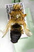  (Megachile dimidiata - CCDB-14515-D05)  @13 [ ] CreativeCommons - Attribution Non-Commercial Share-Alike (2012) Packer Collection York University York University