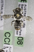  (Megachile AUS2 - CCDB-14515-G08)  @11 [ ] CreativeCommons - Attribution Non-Commercial Share-Alike (2012) Packer Collection York University York University