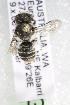  (Megachile AUS4 - CCDB-14515-G10)  @11 [ ] CreativeCommons - Attribution Non-Commercial Share-Alike (2012) Packer Collection York University York University