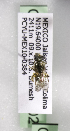  (Lasioglossum cubitale - CCDB-09853 A02)  @13 [ ] CreativeCommons - Attribution Non-Commercial Share-Alike (2010) Packer Collection York University York University