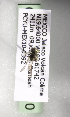  ( - CCDB-09853 A10)  @12 [ ] CreativeCommons - Attribution Non-Commercial Share-Alike (2010) Packer Collection York University York University