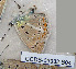  ( - CCDB-03032 B04)  @12 [ ] Copyright (2012) Zoological Institute of the Russian Academy of Science Zoological Institute of the Russian Academy of Science