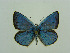  ( - CCDB-05726 D05)  @11 [ ] Copyright (2011) University of Florida, FMNH - McGuire Center University of Florida, FMNH - McGuire Center