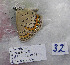  ( - CCDB-17947 E08)  @12 [ ] Copyright (2013) coll. V. Tikhonov coll. V. Tikhonov