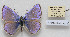  ( - CCDB-17950 G04)  @13 [ ] Copyright (2014) McGuire Center, University of Florida McGuire Center, University of Florida
