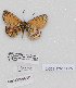  ( - CCDB-17950 H05)  @12 [ ] Copyright (2014) McGuire Center, University of Florida McGuire Center, University of Florida