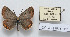  ( - CCDB-17951 H06)  @13 [ ] Copyright (2014) McGuire Center, University of Florida McGuire Center, University of Florida