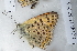  ( - CCDB-25450 B04)  @13 [ ] Copyright (2015) Zoological Institute of the Russian Academy of Science Zoological Institute of the Russian Academy of Science