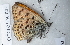  ( - CCDB-25450 B05)  @13 [ ] Copyright (2015) Zoological Institute of the Russian Academy of Science Zoological Institute of the Russian Academy of Science