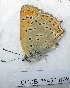  ( - CCDB-25450 B09)  @12 [ ] Copyright (2015) Zoological Institute of the Russian Academy of Science Zoological Institute of the Russian Academy of Science