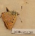  ( - CCDB-25454 G01)  @12 [ ] Copyright (2016) Zoological Institute of the Russian Academy of Science Zoological Institute of the Russian Academy of Science