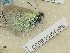  ( - CCDB-25454 H08)  @11 [ ] Copyright (2016) Zoological Institute of the Russian Academy of Science Zoological Institute of the Russian Academy of Science