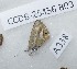  ( - CCDB-25456 B03)  @12 [ ] Copyright (2016) Zoological Institute of the Russian Academy of Science Zoological Institute of the Russian Academy of Science