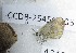  ( - CCDB-25456 B05)  @12 [ ] Copyright (2016) Zoological Institute of the Russian Academy of Science Zoological Institute of the Russian Academy of Science