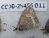  ( - CCDB-25456 B11)  @13 [ ] Copyright (2016) Zoological Institute of the Russian Academy of Science Zoological Institute of the Russian Academy of Science