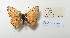  ( - CCDB-23377 B09)  @11 [ ] Copyright (2018) Zoological Institute of the Russian Academy of Science Zoological Institute of the Russian Academy of Science