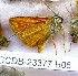  ( - CCDB-23377 H05)  @11 [ ] Copyright (2018) Zoological Institute of the Russian Academy of Science Zoological Institute of the Russian Academy of Science