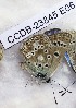  ( - CCDB-23845 E06)  @11 [ ] Copyright (2018) Zoological Institute of the Russian Academy of Science Zoological Institute of the Russian Academy of Science