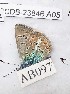  ( - CCDB-23846 A05)  @12 [ ] Copyright (2018) Zoological Institute of the Russian Academy of Science Zoological Institute of the Russian Academy of Science