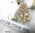  ( - CCDB-23846 B05)  @11 [ ] Copyright (2018) Zoological Institute of the Russian Academy of Science Zoological Institute of the Russian Academy of Science