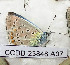  ( - CCDB-23848 A07)  @11 [ ] Copyright (2018) Zoological Institute of the Russian Academy of Science Zoological Institute of the Russian Academy of Science