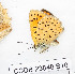  ( - CCDB-23848 B10)  @11 [ ] Copyright (2018) Zoological Institute of the Russian Academy of Science Zoological Institute of the Russian Academy of Science