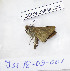  (Gegenes gambica - CCDB-23848 C04)  @12 [ ] Copyright (2018) Zoological Institute of the Russian Academy of Science Zoological Institute of the Russian Academy of Science