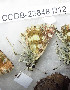  ( - CCDB-23848 D12)  @11 [ ] Copyright (2018) Zoological Institute of the Russian Academy of Science Zoological Institute of the Russian Academy of Science
