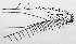  ( - CCDB-23849 A06)  @11 [ ] Copyright (2019) Zoological Institute of the Russian Academy of Science Zoological Institute of the Russian Academy of Science