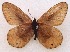  ( - CCDB-23849 A10)  @11 [ ] Copyright (2019) Zoological Institute of the Russian Academy of Science Zoological Institute of the Russian Academy of Science