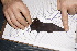 ( - 20120811_166)  @11 [ ] CreativeCommons - Attribution Non-Commercial  Unspecified Smithonian Tropical Institute