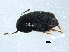  ( - 08BBCOL-0853)  @12 [ ] CreativeCommons - Attribution (2010) Unspecified Centre for Biodiversity Genomics